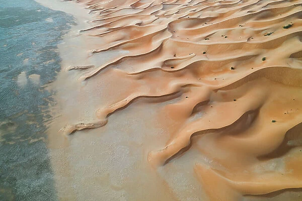 Winding sand dunes on edge of the desert, United Arab Emirates