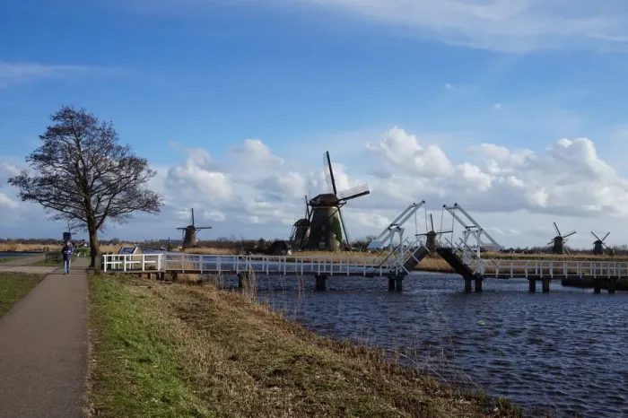 Framed Print : Windmills, Bridge, Tree at kinderdijk, the Netherlands Framed Print : Windmills, Bridge, Tree at kinderdijk, the Netherlands