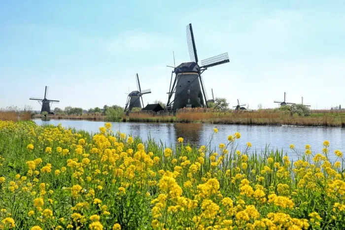 Framed Print : Windmills of Kinderdijk, Netherlands Framed Print : Windmills of Kinderdijk, Netherlands