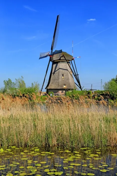 Framed Print : Windmills of Kinderdijk, Netherlands Framed Print : Windmills of Kinderdijk, Netherlands