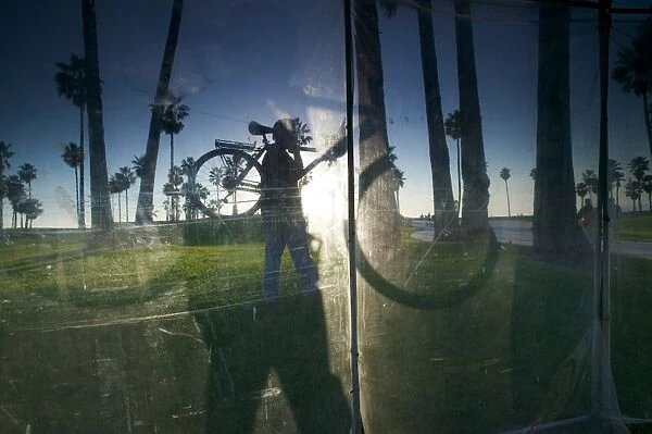 Window reflecting palm trees and cyclist carrying bicyle