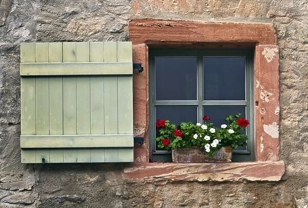 Window with shutters and geraniums, Eberbach, Hesse, Germany, Europe