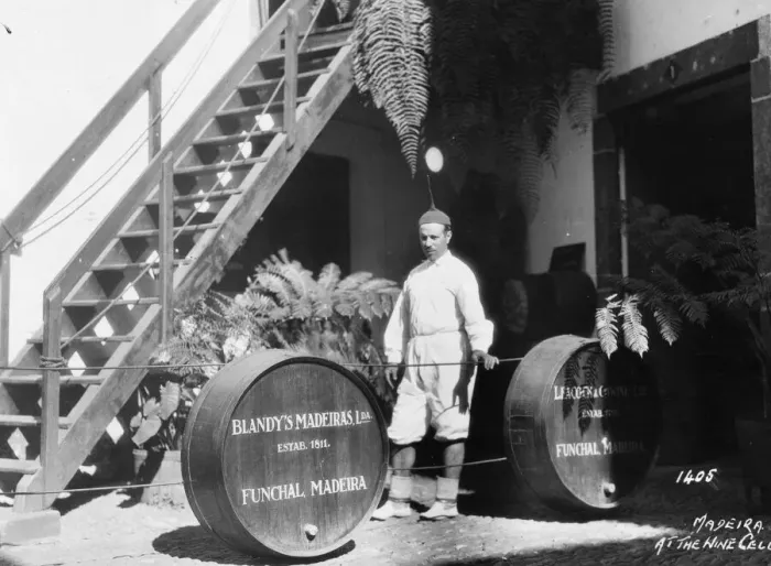 Framed Print : Wine Casks Framed Print : Wine Casks