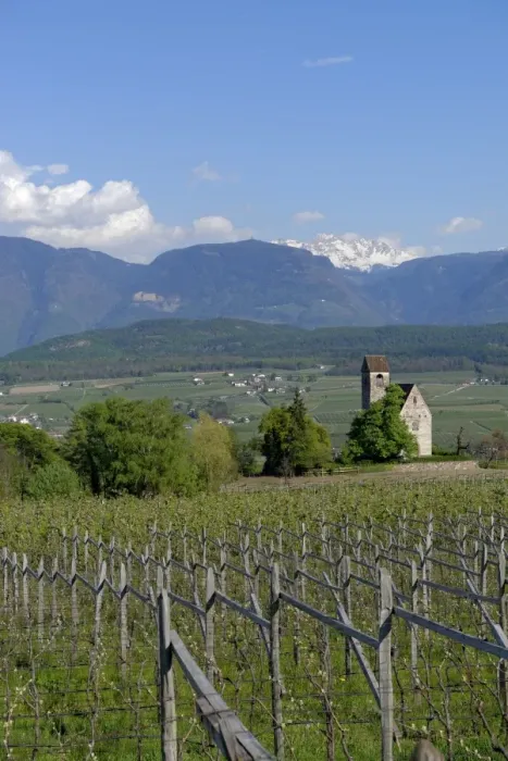 Framed Print : Wine growing at the castle church of St. Sebastian, Schloss Englar in Appiano on the Wine Route, Uberetsch, South Tyrol, Italy Framed Print : Wine growing at the castle church of St. Sebastian, Schloss Englar in Appiano on the Wine Route, Uberetsch, South Tyrol, Italy