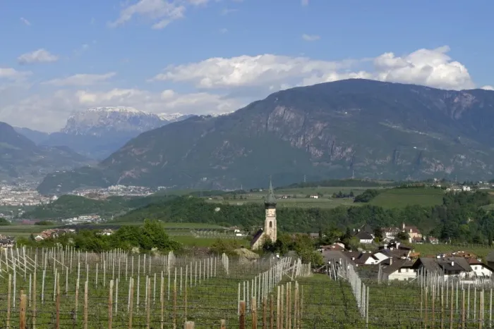 Framed Print : Wine growing, at St. Pauls on the Wine Route, Uberetsch South Tyrol, Italy Framed Print : Wine growing, at St. Pauls on the Wine Route, Uberetsch South Tyrol, Italy