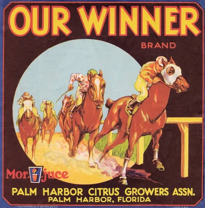 Framed Print : Our Winner Brand Framed Print : Our Winner Brand