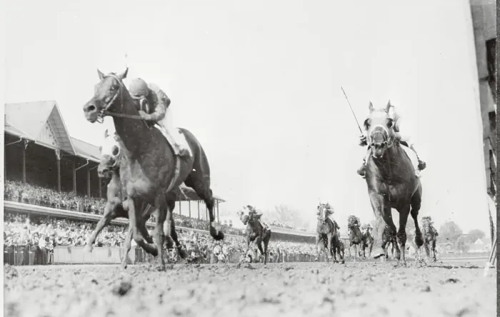 Framed Print : Winning Horse Racing Towards Finish Line Framed Print : Winning Horse Racing Towards Finish Line
