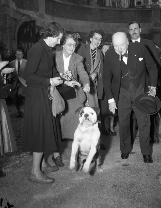 Framed Print : Winston Churchill Arrives at the British Embassy Framed Print : Winston Churchill Arrives at the British Embassy