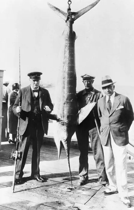 Framed Print : Winston Churchill Holding Big Swordfish Framed Print : Winston Churchill Holding Big Swordfish