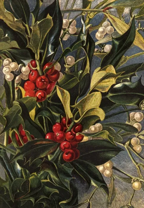 Framed Print : Winter Berries Framed Print : Winter Berries