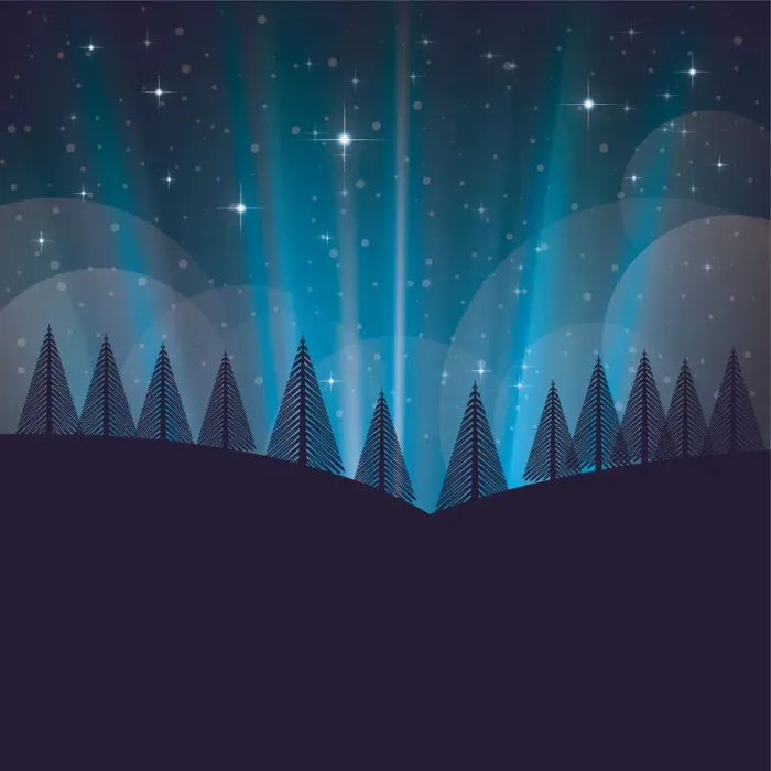 Framed Print : Winter and christmas landscape with snow and trees at night Framed Print : Winter and christmas landscape with snow and trees at night