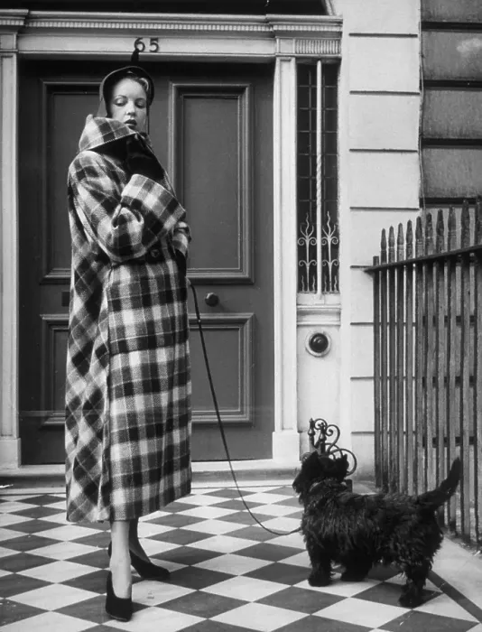 Framed Print : Winter Coat