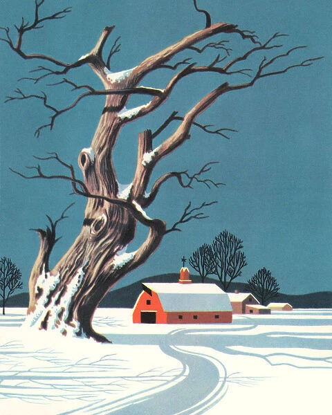 Winter Country Scene