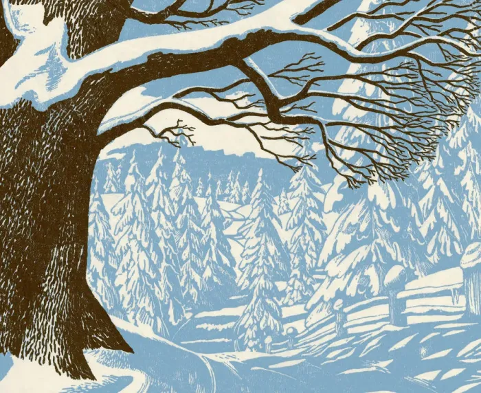 Framed Print : Winter Forest Scene Framed Print : Winter Forest Scene