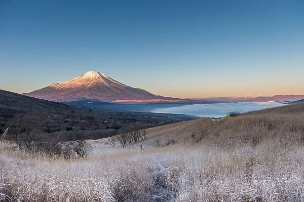 Winter Fuji