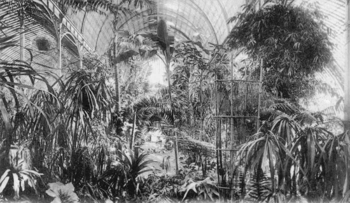 Framed Print : Winter Garden Framed Print : Winter Garden