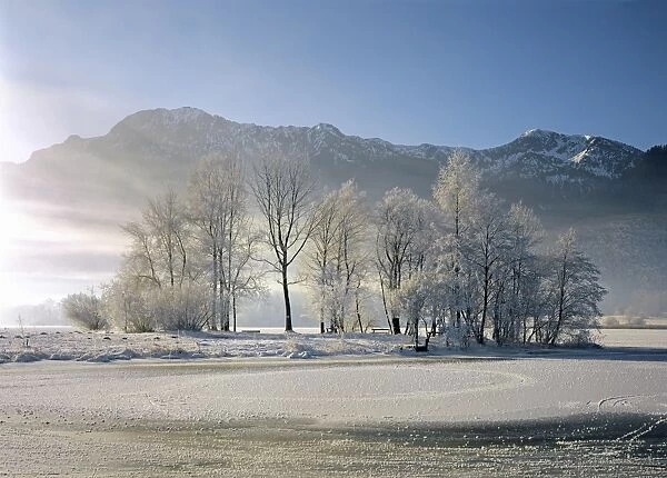 Winter on Lake Kochel in front of Herzogstand and Heimgarten, Upper Bavaria, Bavaria, Germany