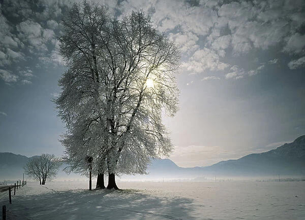 Winter on Lake Kochel, Upper Bavaria, Bavaria, Germany