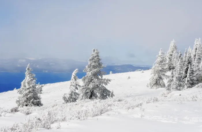 Framed Print : Winter at Lake Tahoe
