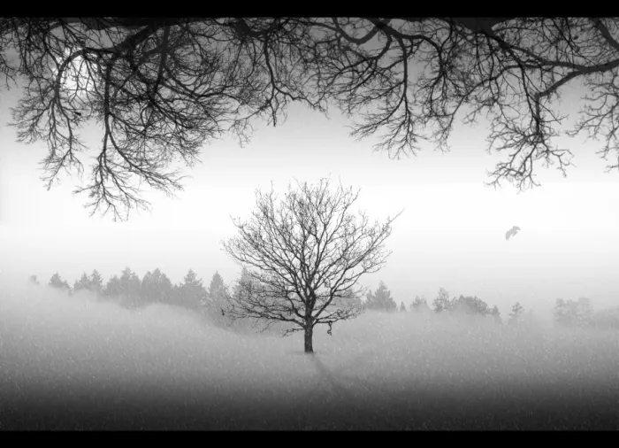 Framed Print : Winter landscape Framed Print : Winter landscape