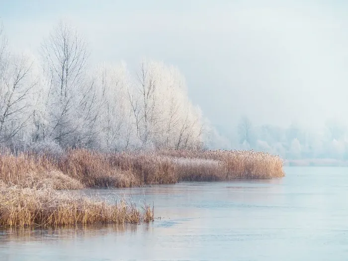 Framed Print : Winter landscape of the frozen pond and rime ice on the trees Framed Print : Winter landscape of the frozen pond and rime ice on the trees