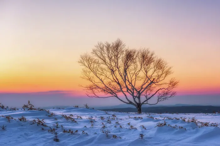 Framed Print : Winter Landscape in Hokkaido, Japan Framed Print : Winter Landscape in Hokkaido, Japan