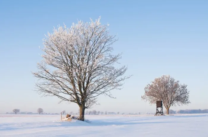 Framed Print : Winter landscape, Lower Saxony, Germany, Europe Framed Print : Winter landscape, Lower Saxony, Germany, Europe