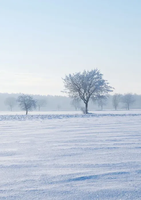 Framed Print : Winter landscape, Lower Saxony, Germany, Europe Framed Print : Winter landscape, Lower Saxony, Germany, Europe