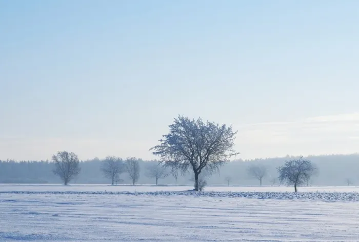 Framed Print : Winter landscape, Lower Saxony, Germany, Europe Framed Print : Winter landscape, Lower Saxony, Germany, Europe