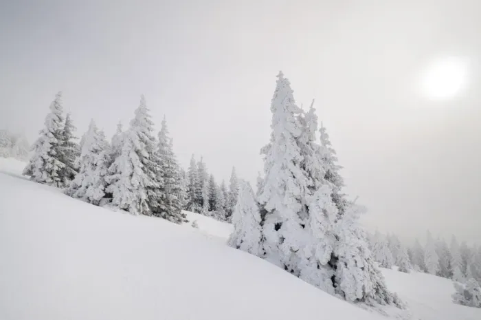 Framed Print : Winter landscape, Mt. Unterberg, Lower Austria, Austria, Europe Framed Print : Winter landscape, Mt. Unterberg, Lower Austria, Austria, Europe