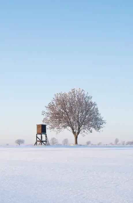 Framed Print : Winter landscape with a tree and a deerstand, Lower Saxony, Germany, Europe