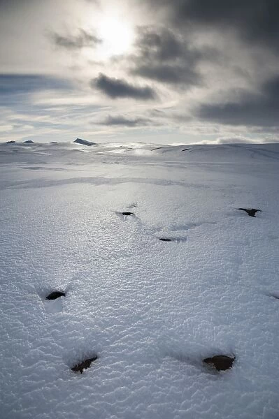 Winter landscape, view towards Vatnajoekull Glacier, Icelandic Highlands, Iceland, Europe