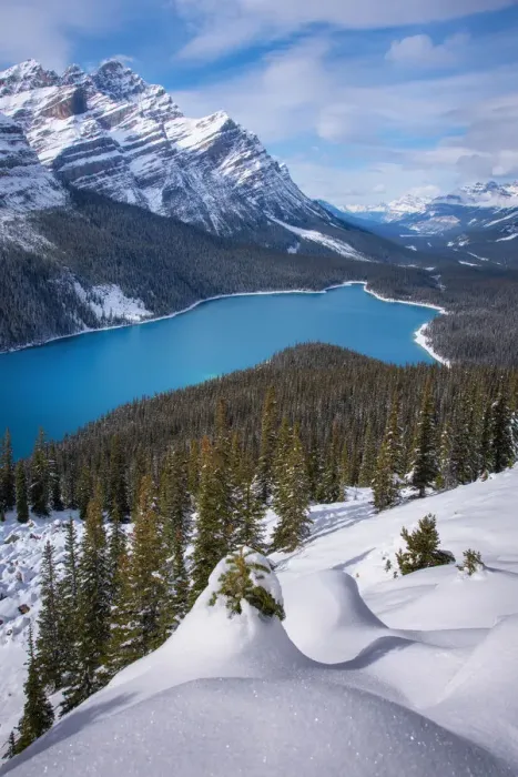 Framed Print : Winter Peyto Lake, AB, Canada Framed Print : Winter Peyto Lake, AB, Canada