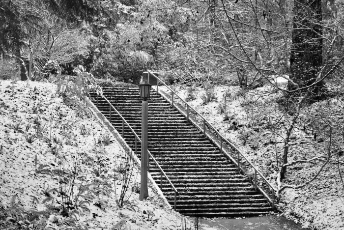 Framed Print : Winter Stairs Framed Print : Winter Stairs