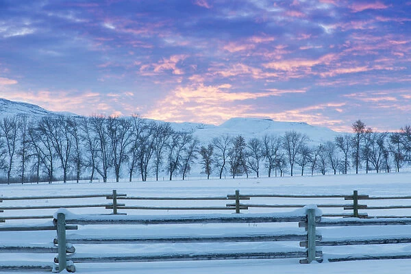 Wintertime sunrise at Hideout Ranch, Shell, Wyoming, USA