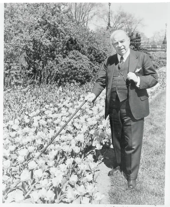 Framed Print : W.L. Mackenzie King Posing Next to Tulip Bed