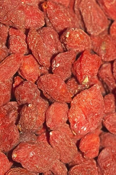 Wolfberries or Goji Berries -Lycium barbarum-, part of Chinese cuisine and traditional Chinese medicine