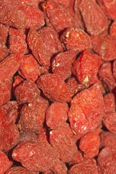 Framed Print : Wolfberries or Goji Berries -Lycium barbarum-, part of Chinese cuisine and traditional Chinese medicine Framed Print : Wolfberries or Goji Berries -Lycium barbarum-, part of Chinese cuisine and traditional Chinese medicine