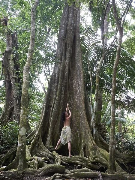 Woman, 45, pulling on a liana of a Kapok -Ceiba pentandra-, rainforest, Punta Uva, Puerto Viejo de Talamanca, Costa Rica, Central America