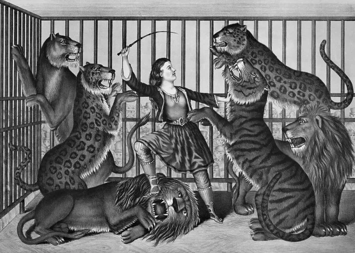 Framed Print : Woman Animal Trainer In Cage W / Wild Cats Framed Print : Woman Animal Trainer In Cage W / Wild Cats
