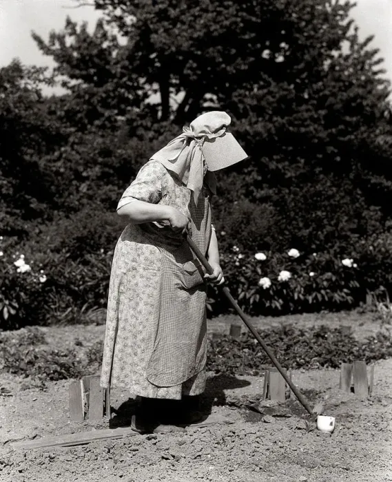 Framed Print : Woman In Bonnet Hoeing In Garden