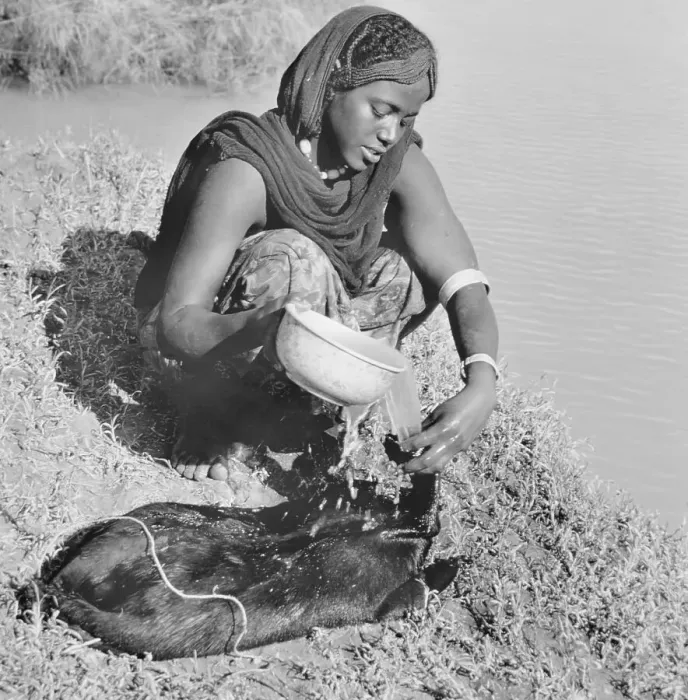 Framed Print : Woman Collecting Water Framed Print : Woman Collecting Water