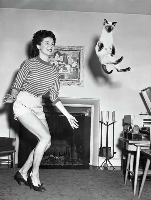 Framed Print : Woman Dancing with Her Cat Framed Print : Woman Dancing with Her Cat