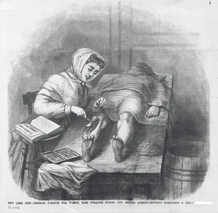 Framed Print : Woman Dissecting Leg Framed Print : Woman Dissecting Leg