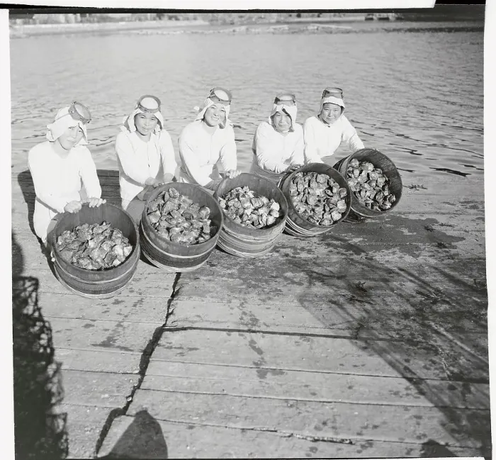 Framed Print : Woman Divers Showing Their Baskets of Oysters Framed Print : Woman Divers Showing Their Baskets of Oysters