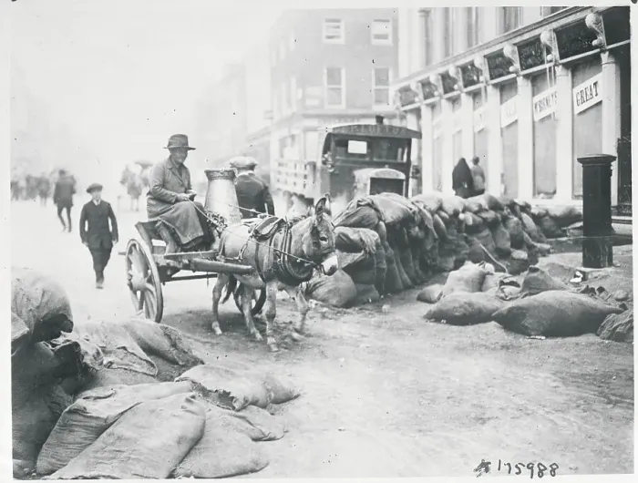 Framed Print : Woman Driving Cart near Bag Strewn Street Framed Print : Woman Driving Cart near Bag Strewn Street