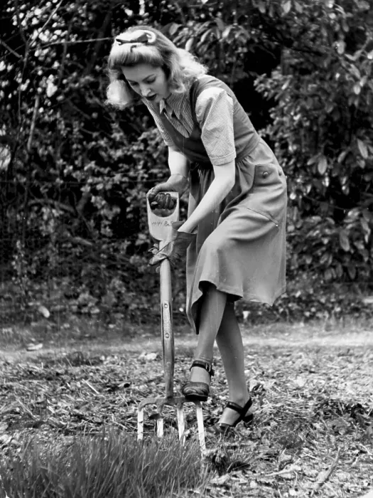 Framed Print : Woman Gardening Framed Print : Woman Gardening