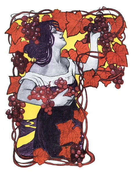 Woman grape harvesting in autumn art nouveau 1897