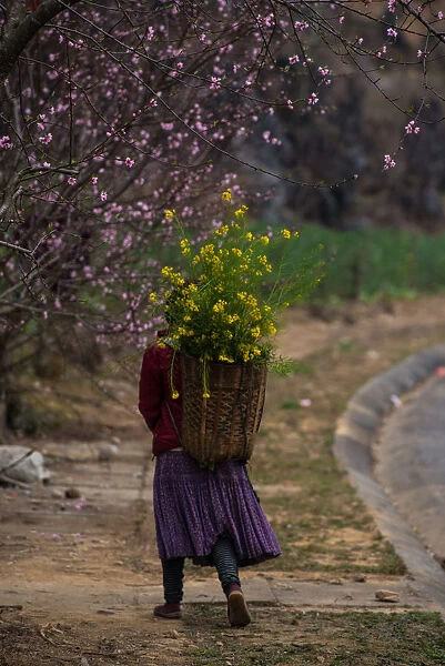 Woman Hanging Flower Bag near Bloosom Tree