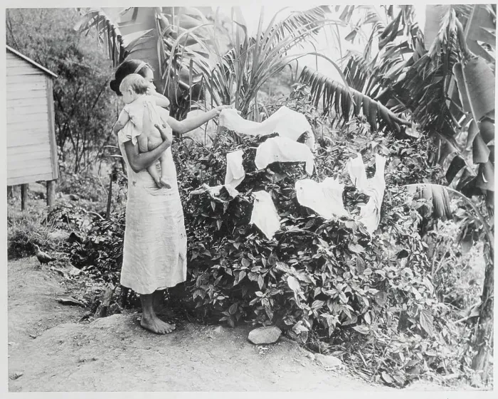 Framed Print : Woman Hanging Laundry on Bush Framed Print : Woman Hanging Laundry on Bush